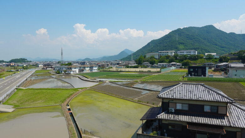 のどかな風景