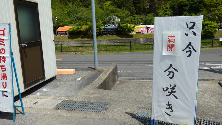 藤公園で藤の開花状態のお知らせ