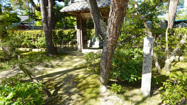 智恩寺の境内の様子