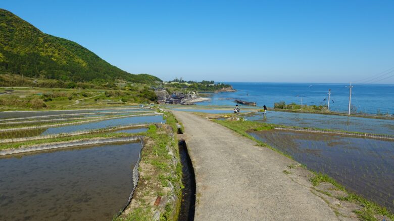 棚田の景色