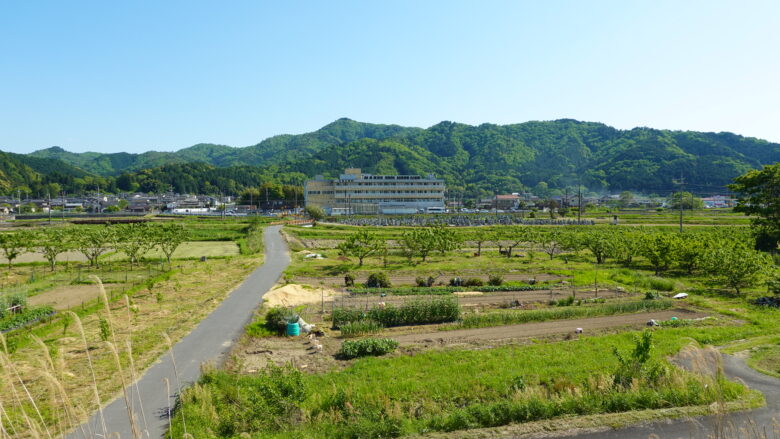 のどかな風景