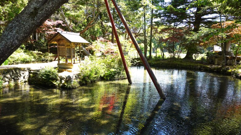 池の風景