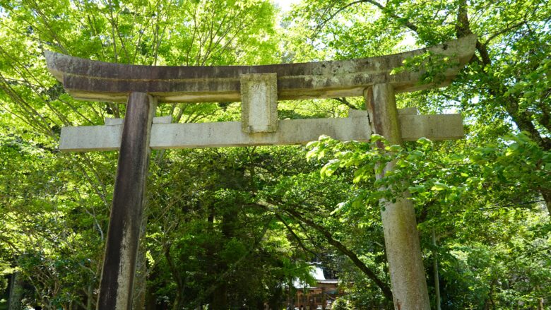 神社の鳥居