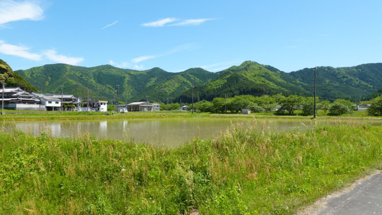 のどかな風景