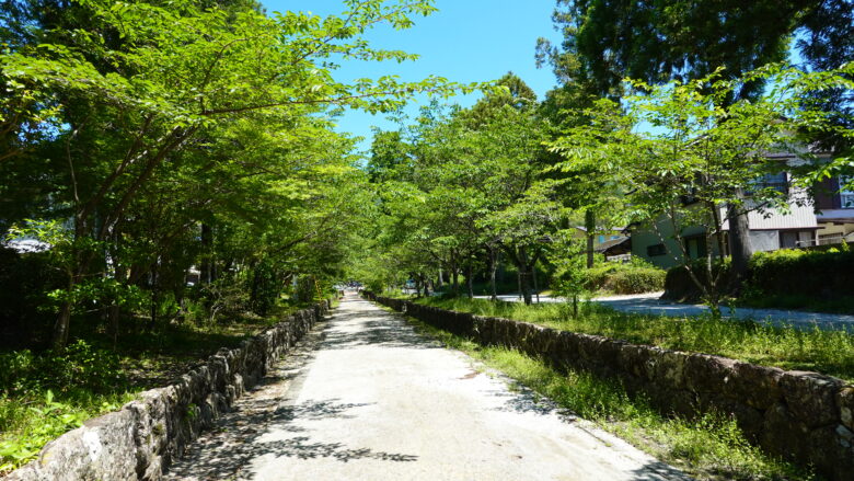 土佐神社の参道