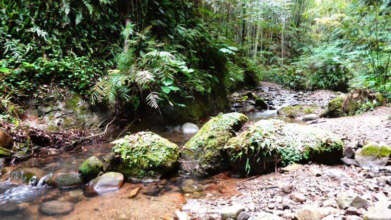 渓谷の風景