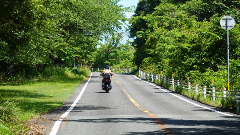 緑豊かな道