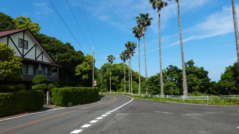 南国の観光道路の雰囲気