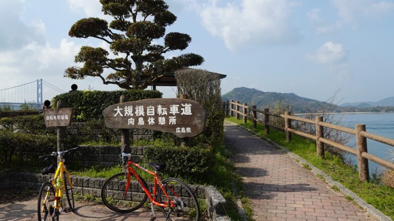 自転車でサイクリングを楽しむ