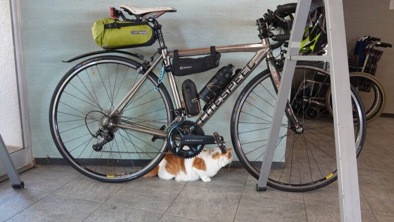 自転車に近くで休んでいる猫