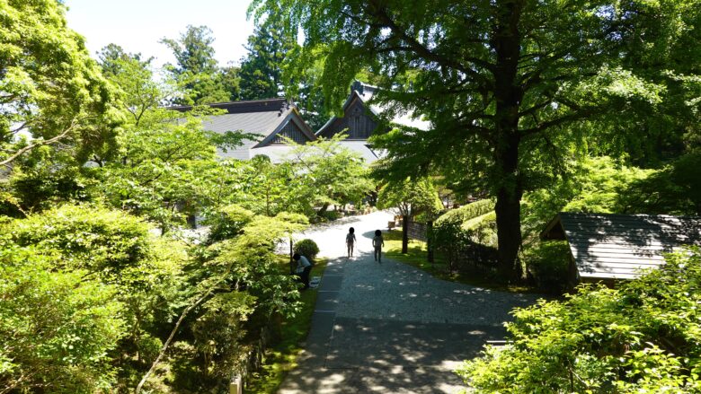 自然がいっぱいの境内は気持ちがいい