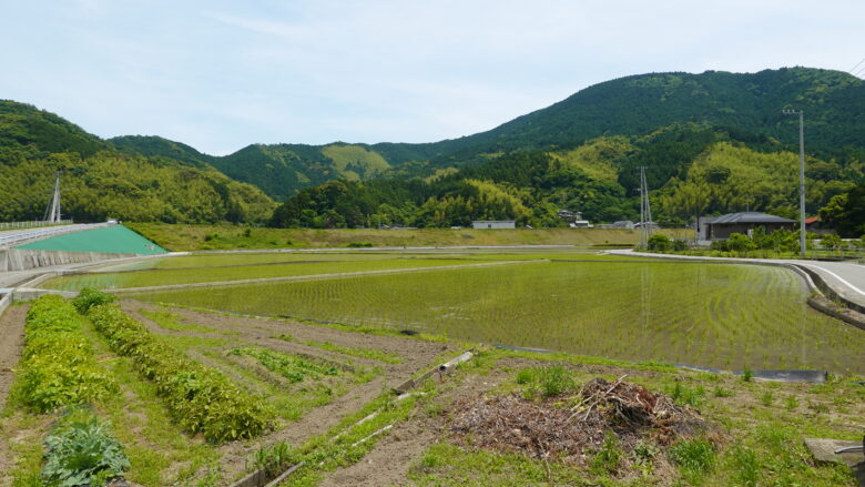 田園風景