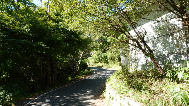 金甲山の山頂まであと少し