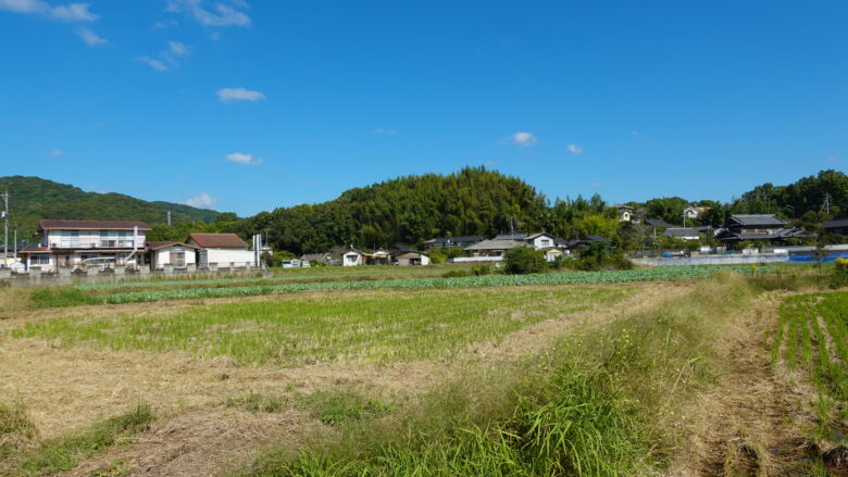 両宮山古墳を遠くから見る