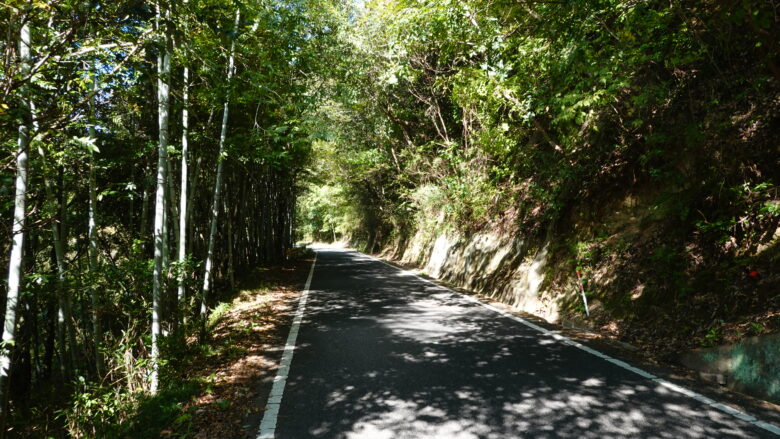 閑静な風景