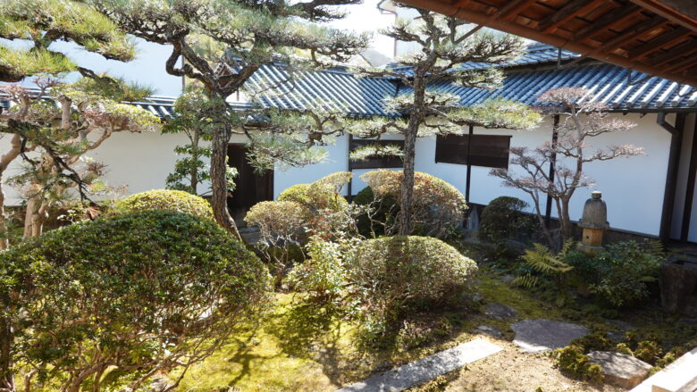中庭の風景