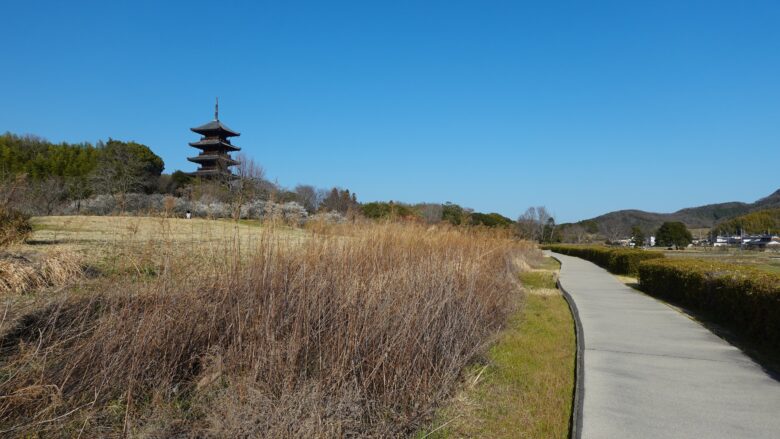 いつ見ても五重塔はカッコイイ!