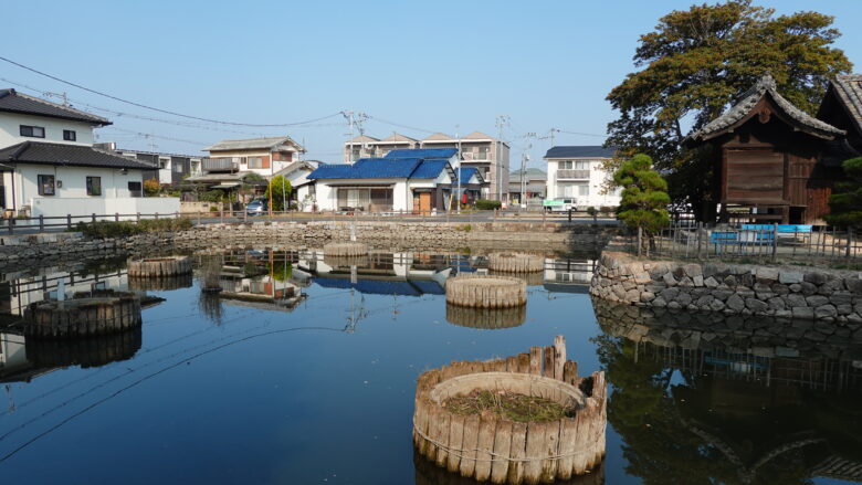 水堀の中に大賀ハスを見られなった