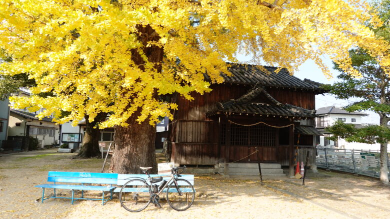 清山神社とイチョウの木