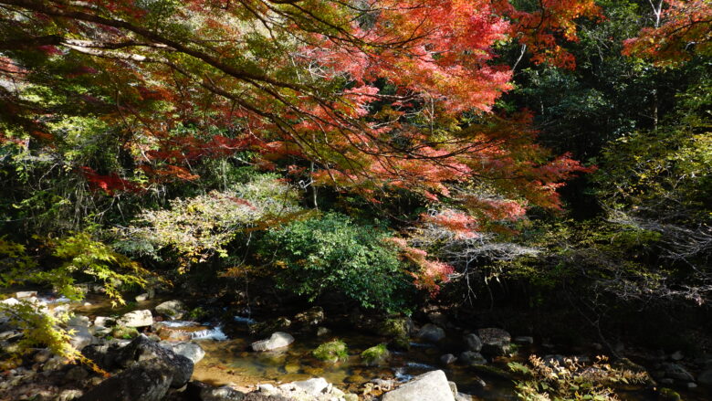豪渓の風景