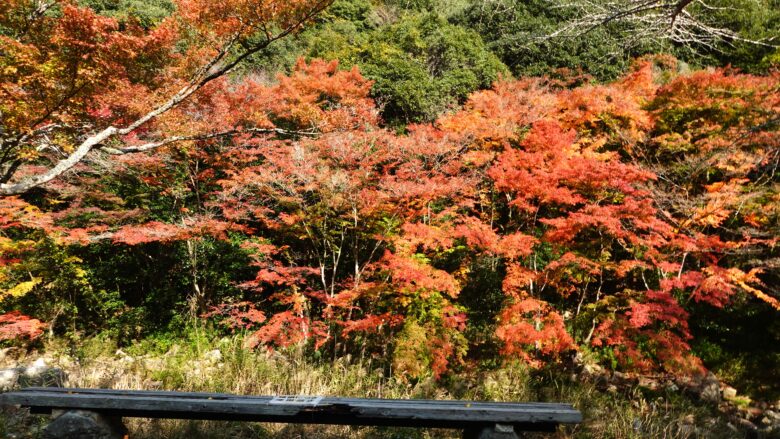ずって見ていたい景色だな