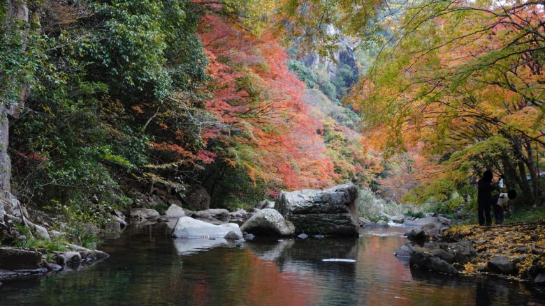 川辺の景色