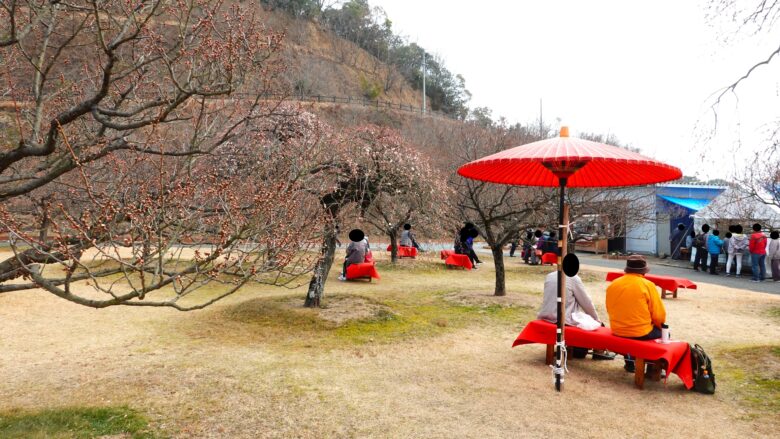 梅の花を楽しむ人々