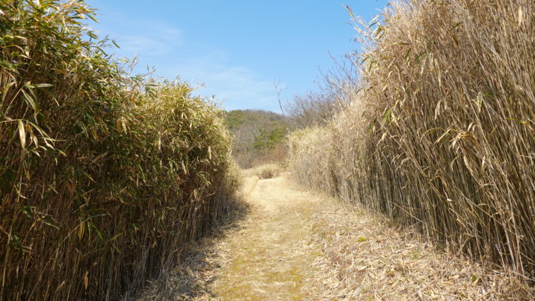 開けた山道