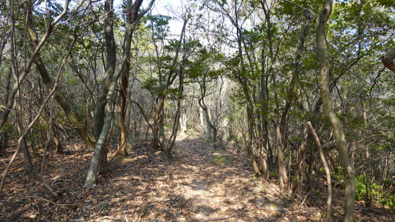 磐座へ向かう登山道の風景