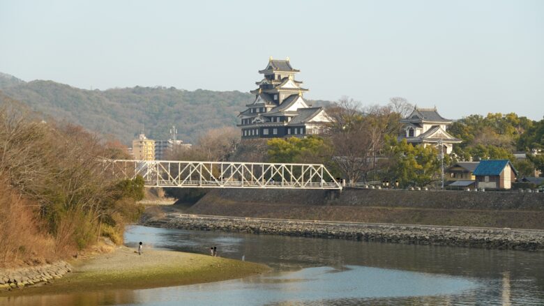 岡山城を望む