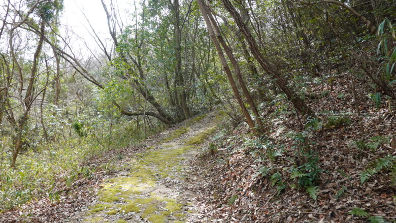 山道の風景