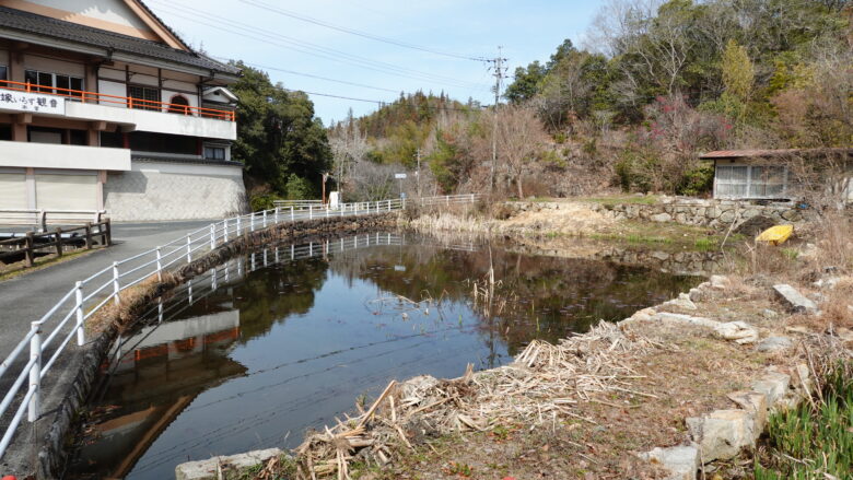 本堂近くには大きな池があるぞ