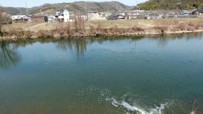 小田川の風景