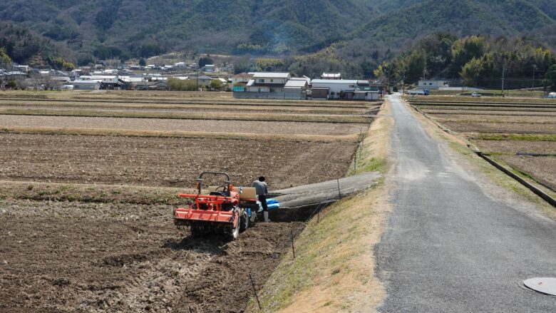 平和だな~