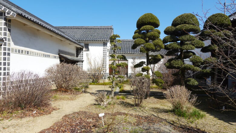 裏庭の風景