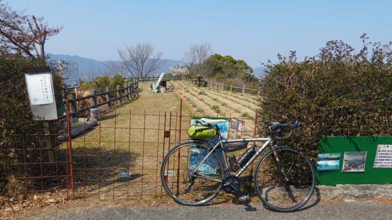 除虫菊畑