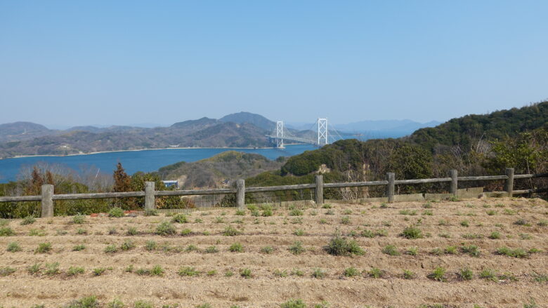 除虫菊畑から瀬戸内海を望む