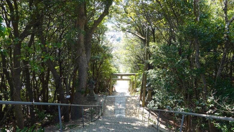 階段を上っている最中に、振り返ってみよう♪