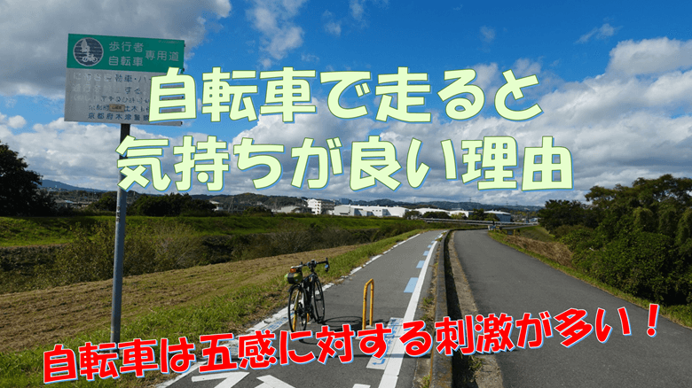 自転車で走ると気持ちが良い理由の紹介サムネ