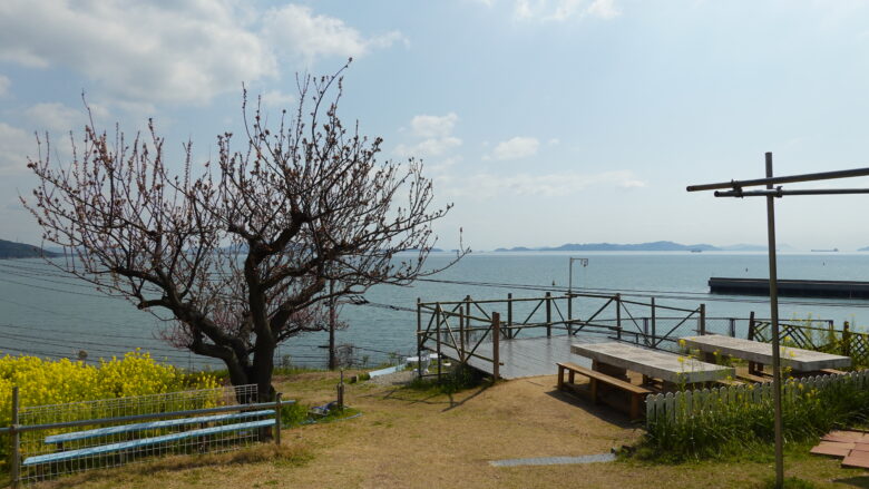 展望テラス
