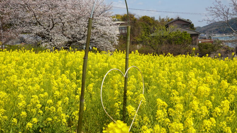 写真映えするハート形のオーナメント