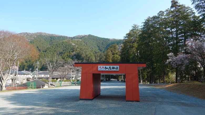 これ何だろう？