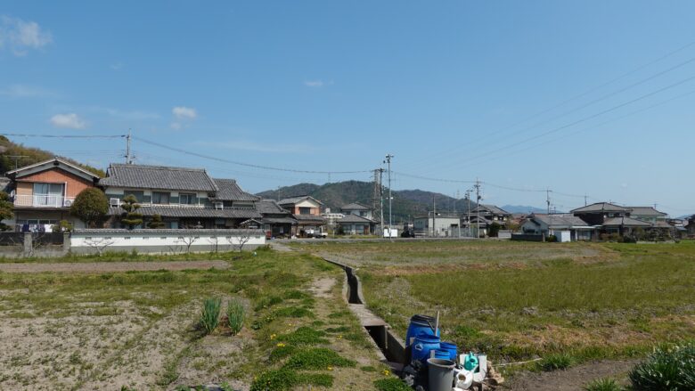 のどかな風景