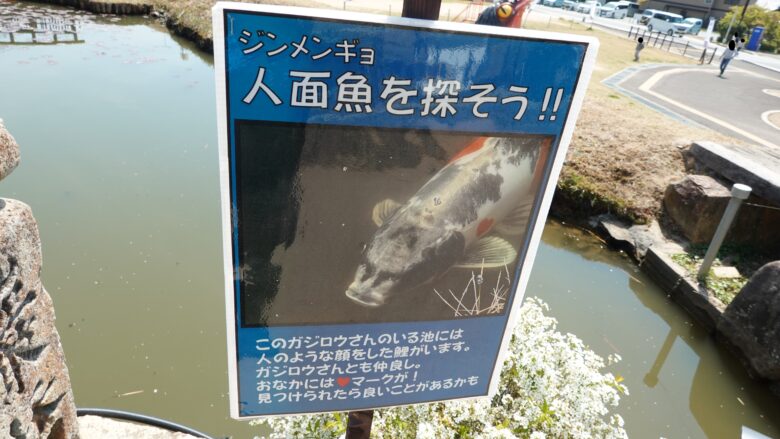 人面魚もいるみたい!?