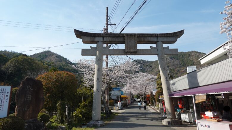 本殿へ向かうまでに多くの鳥居がある