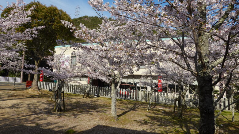 境内には花見スポットあり、心躍る季節の到来だ！