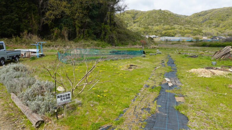 両宮山古墳 見学通路
