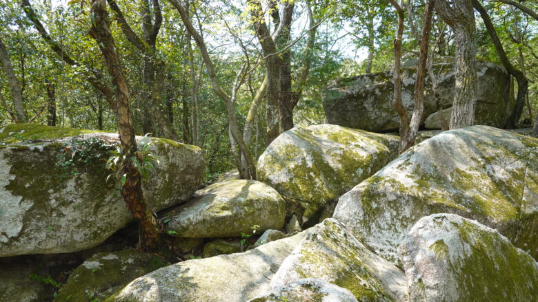 一番右奥にみえる巨石が「畳岩」