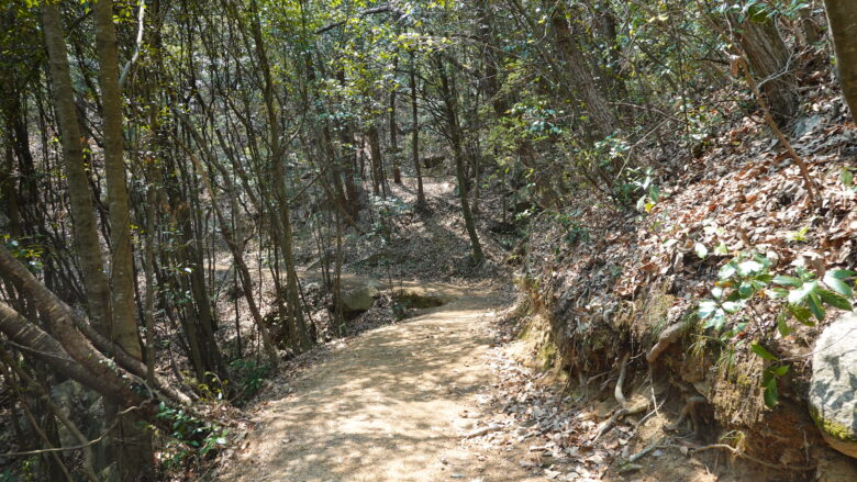 裏参道の風景、このような道がずっと続く