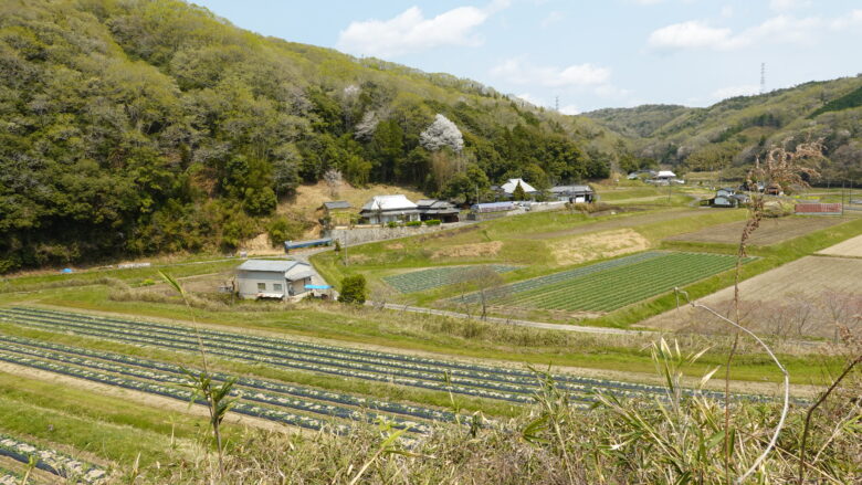 のどかな風景が広がる